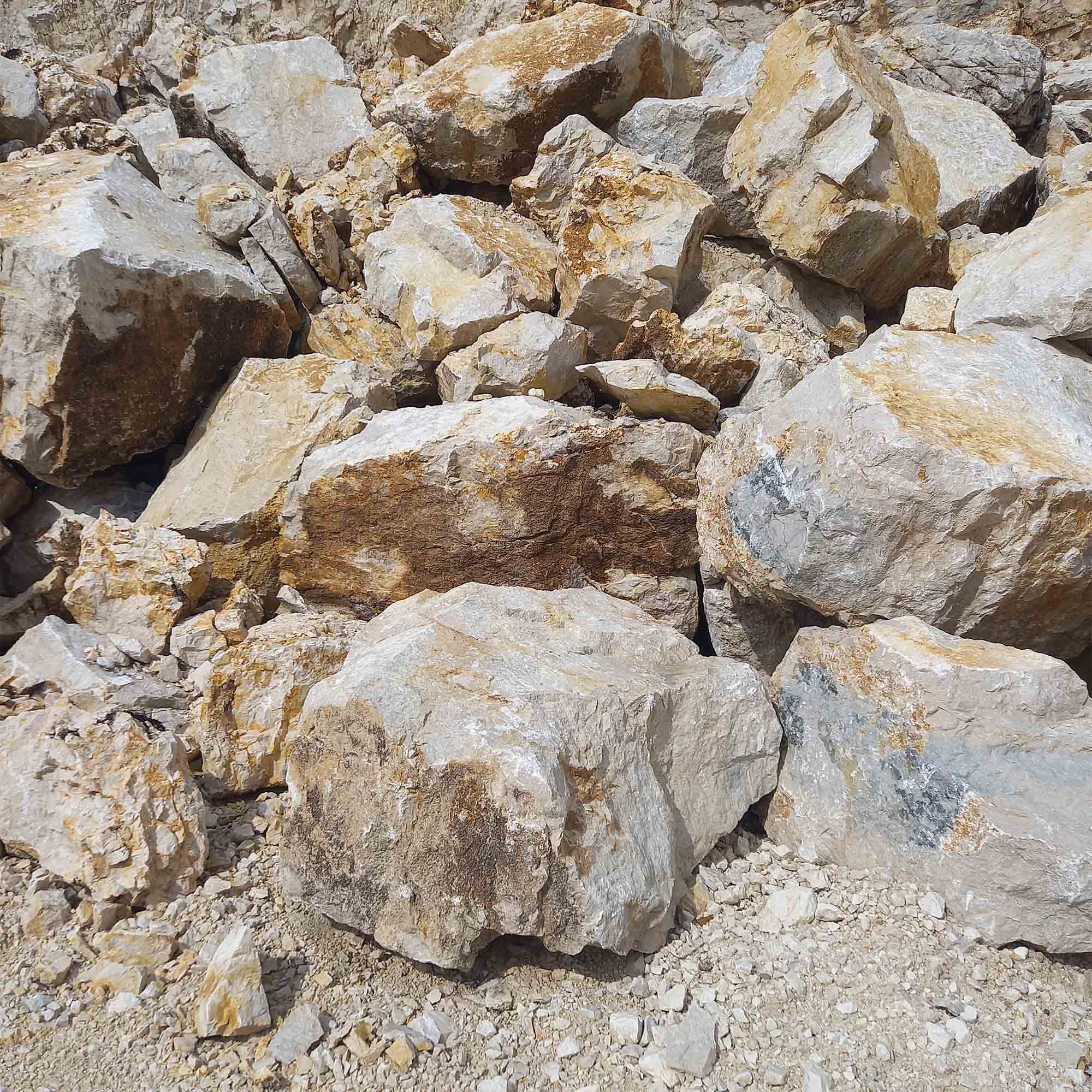 BLOCS
